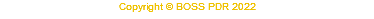 Copyright © BOSS PDR 2022